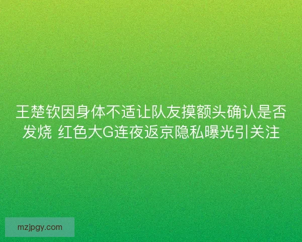 王楚钦因身体不适让队友摸额头确认是否发烧 红色大G连夜返京隐私曝光引关注